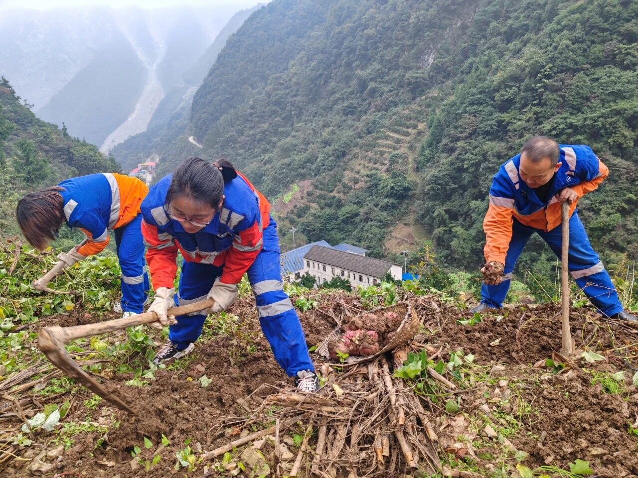 首页|7790必发集团中国官方网站