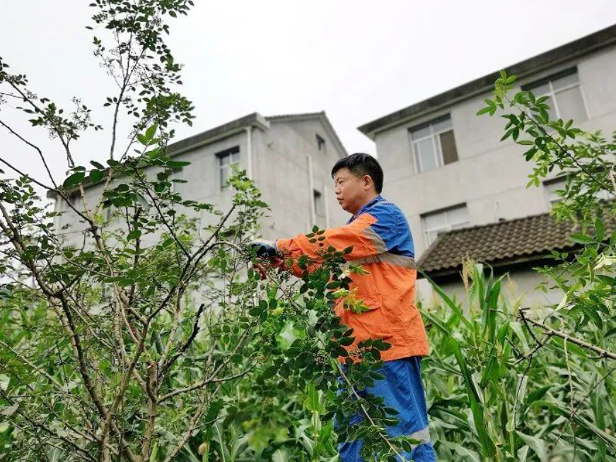 首页|7790必发集团中国官方网站